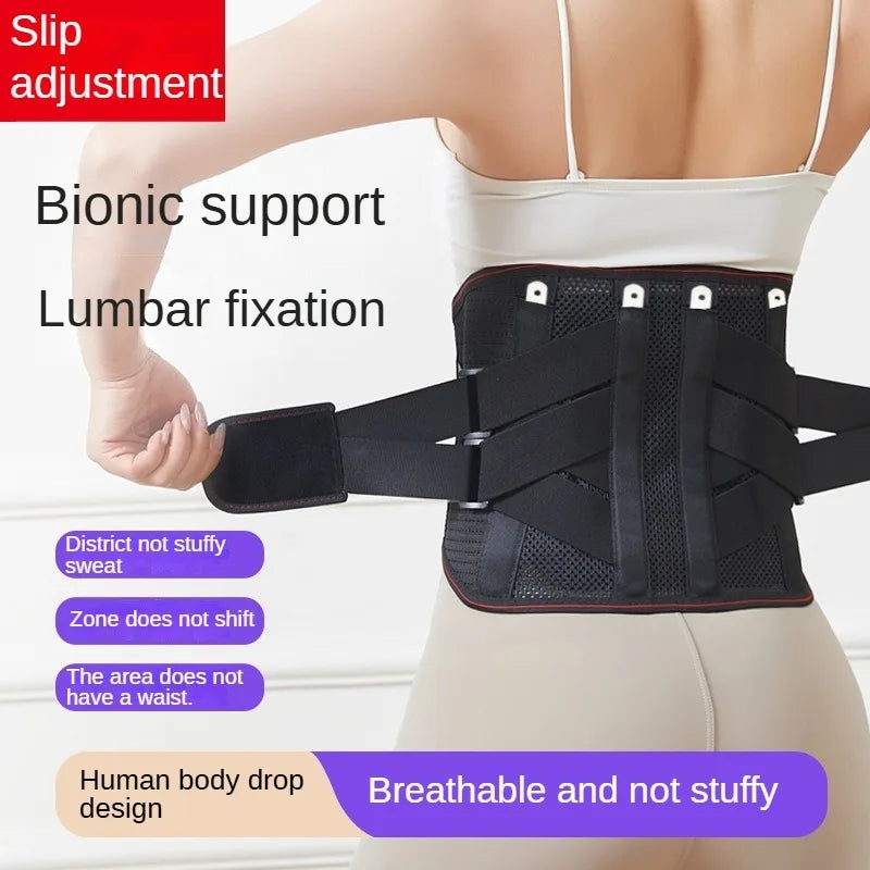 FitSense™ Back Support Belt